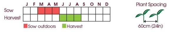 Pea (Maincrop) Onward Seeds Unwins Sowing Time and Spacing
